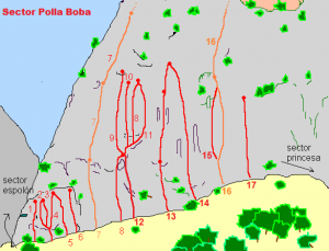 Sa Gubia (sector Polla Boba)_4