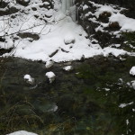 20150207_094249