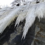 20150208_122119