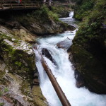 P1060993