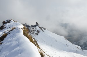 DSC_3373